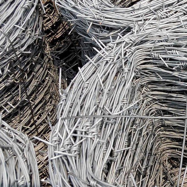 Barbed Wire - Image 2