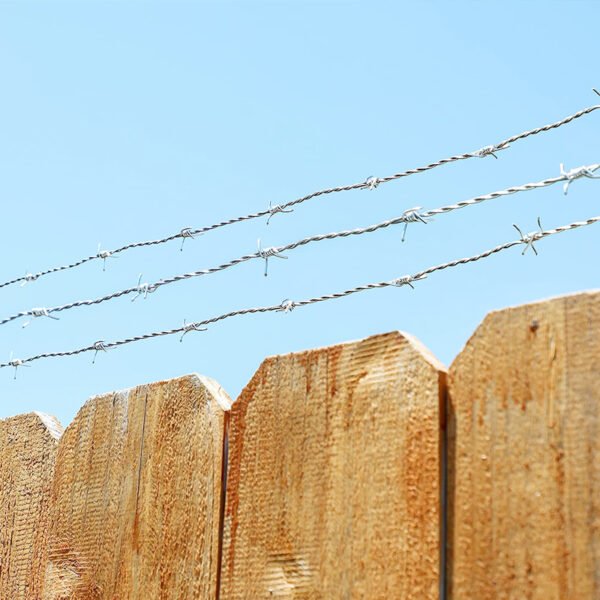 Barbed Wire - Image 3
