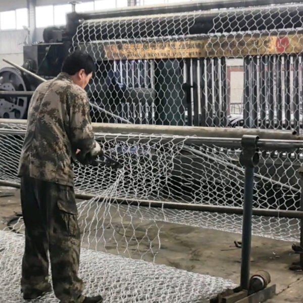 Gabion Mesh