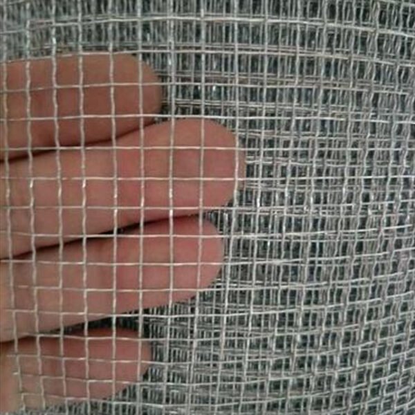 Square Mesh