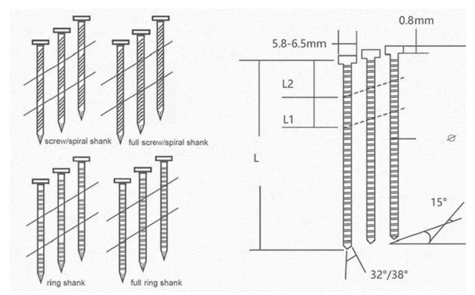 Galvanized Coil Nails